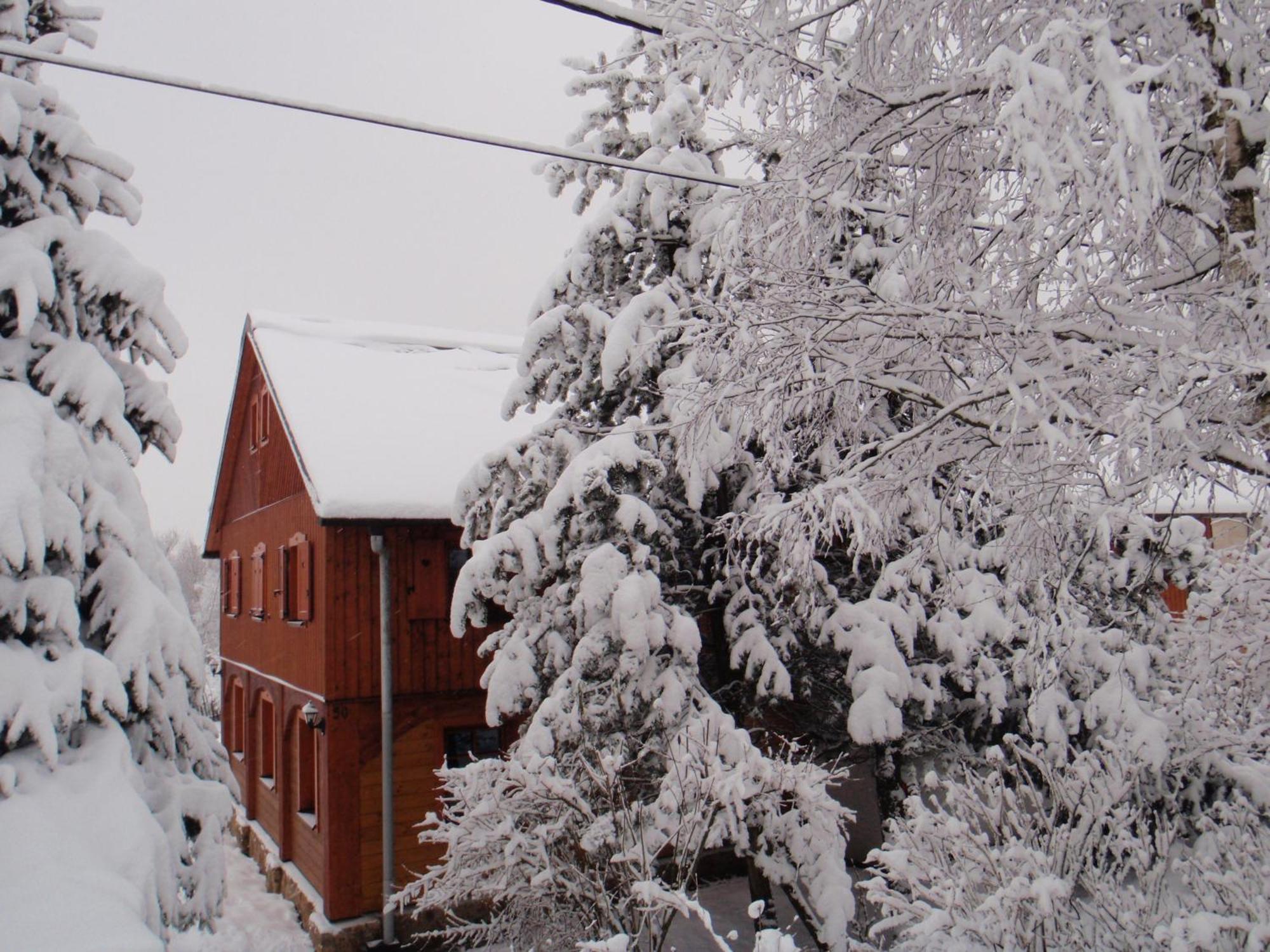 Guest House Sneznik Екстер'єр фото